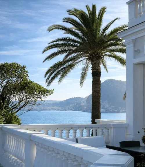Villa avec palmier et vue mer